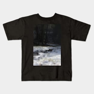 snowy Oregon forest, fox creek 9 Kids T-Shirt